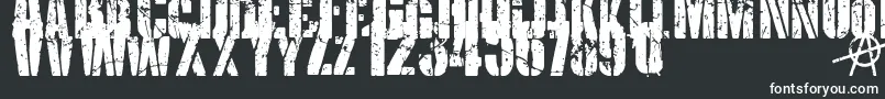 KriptonB1 Font – White Fonts on Black Background