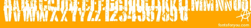 KriptonB1 Font – White Fonts on Orange Background