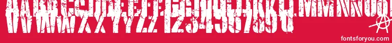 KriptonB1 Font – White Fonts on Red Background