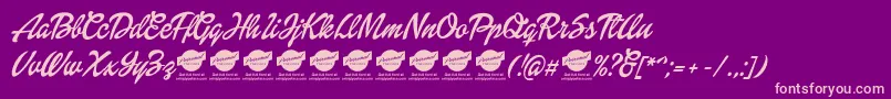 DolliescriptPersonaluse Font – Pink Fonts on Purple Background