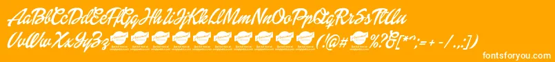 DolliescriptPersonaluse Font – White Fonts on Orange Background