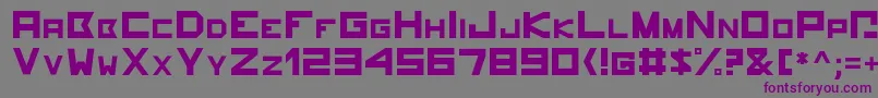 Hammerhead-Schriftart – Violette Schriften auf grauem Hintergrund