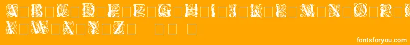 Elzevier ffy Font – White Fonts on Orange Background