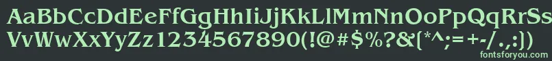 フォントBenjaminMedium – 黒い背景に緑の文字