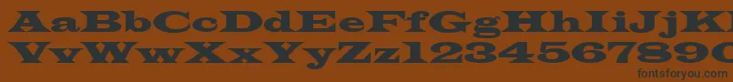Azlatinwidectt Font – Black Fonts on Brown Background