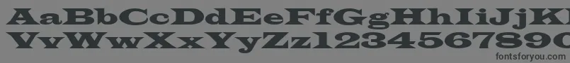 Azlatinwidectt Font – Black Fonts on Gray Background