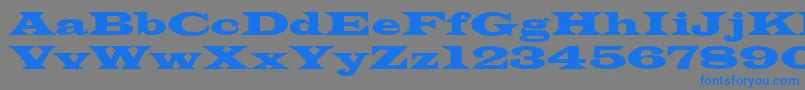 Azlatinwidectt Font – Blue Fonts on Gray Background
