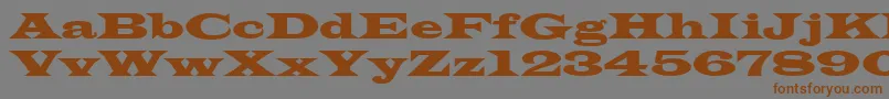 Azlatinwidectt Font – Brown Fonts on Gray Background