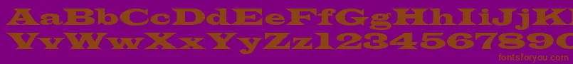 Azlatinwidectt Font – Brown Fonts on Purple Background