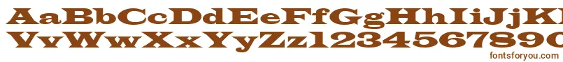 Azlatinwidectt Font – Brown Fonts on White Background