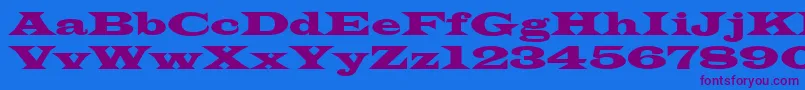 Azlatinwidectt-Schriftart – Violette Schriften auf blauem Hintergrund
