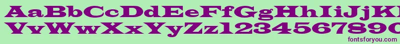 Azlatinwidectt Font – Purple Fonts on Green Background