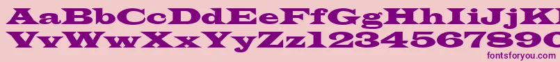 Azlatinwidectt Font – Purple Fonts on Pink Background