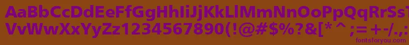 Humanist777BlackBt Font – Purple Fonts on Brown Background