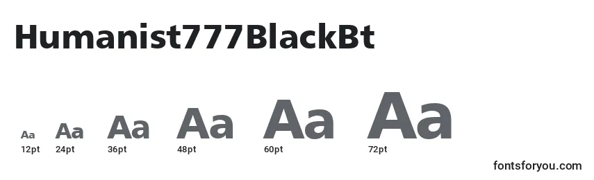 Humanist777BlackBt Font Sizes