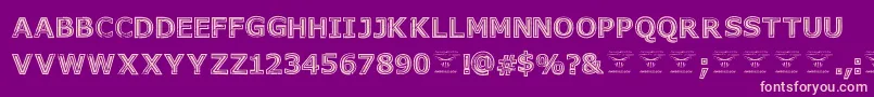 GeneseestBlack Font – Pink Fonts on Purple Background