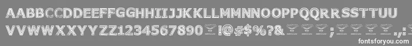 GeneseestBlack Font – White Fonts on Gray Background