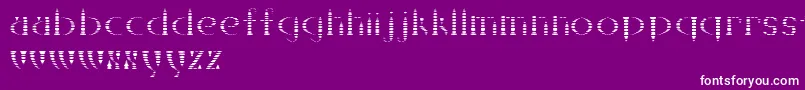 フォントKanizsa – 紫の背景に白い文字