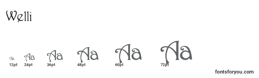 Wellington Font Sizes