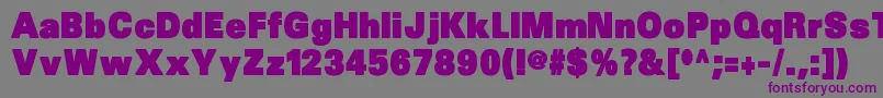 Sansblack Font – Purple Fonts on Gray Background