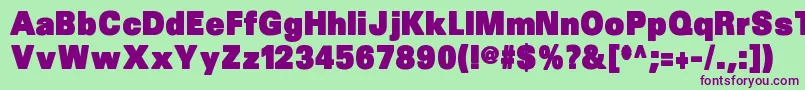 Sansblack Font – Purple Fonts on Green Background