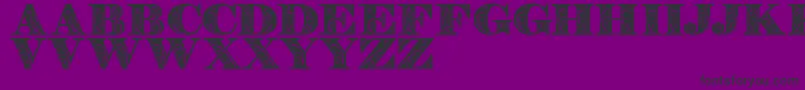 Zenonedemo Font – Black Fonts on Purple Background