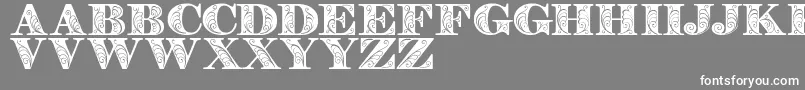 Zenonedemo-fontti – valkoiset fontit harmaalla taustalla