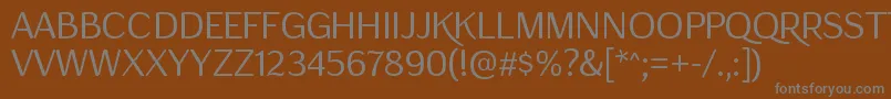 Шрифт ConcealRegular – серые шрифты на коричневом фоне
