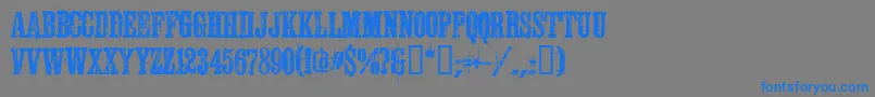 Schkorycza Font – Blue Fonts on Gray Background