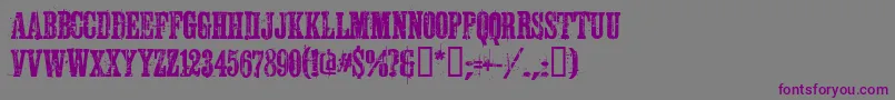 Schkorycza Font – Purple Fonts on Gray Background