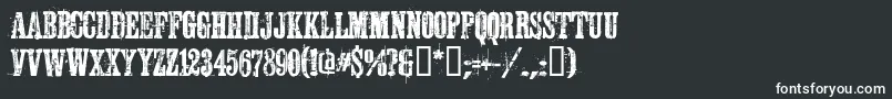 Schkorycza Font – White Fonts on Black Background
