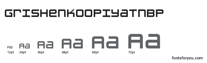 Размеры шрифта GrishenkoOpiyatNbp