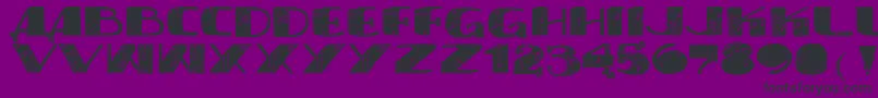 Vtkssyndicate Font – Black Fonts on Purple Background