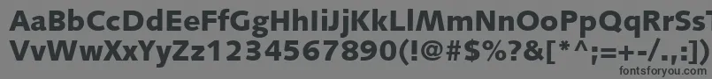 フォントFacileBlackSsiExtraBold – 黒い文字の灰色の背景