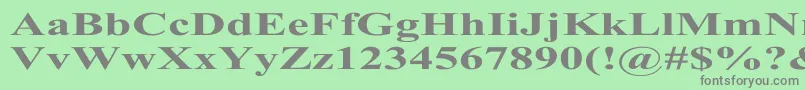 TimesRomanExBold Font – Gray Fonts on Green Background