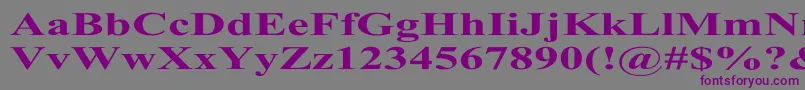 TimesRomanExBold-Schriftart – Violette Schriften auf grauem Hintergrund