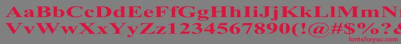 TimesRomanExBold Font – Red Fonts on Gray Background