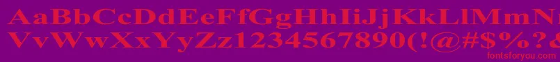 TimesRomanExBold Font – Red Fonts on Purple Background