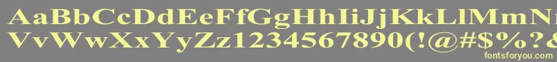 TimesRomanExBold Font – Yellow Fonts on Gray Background