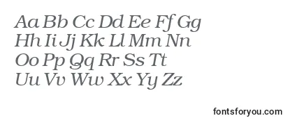 Review of the Bkm46C Font