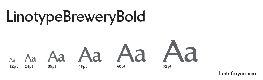 Размеры шрифта LinotypeBreweryBold