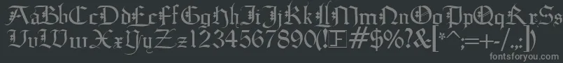 フォントDiamondGothic – 黒い背景に灰色の文字