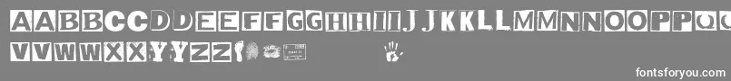 フォントRevista – 灰色の背景に白い文字