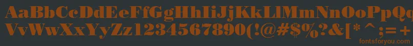 Pstrbod Font – Brown Fonts on Black Background