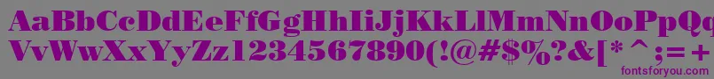 Pstrbod Font – Purple Fonts on Gray Background