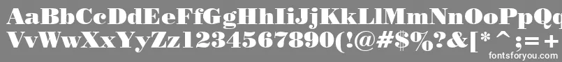 Weitere Informationen zur Pstrbod-Schriftart Pstrbod-Schriftart – Weiße Schriften auf grauem Hintergrund