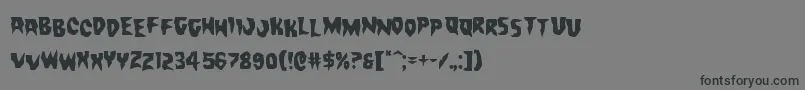 Countsuckulastag Font – Black Fonts on Gray Background