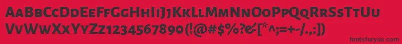 フォントAlegreyasansscExtrabold – 赤い背景に黒い文字