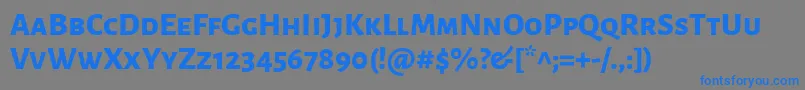 AlegreyasansscExtrabold Font – Blue Fonts on Gray Background