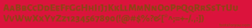 AlegreyasansscExtrabold Font – Brown Fonts on Red Background